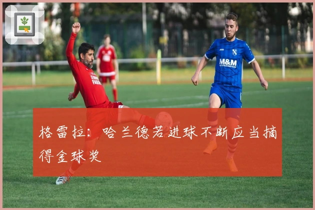 格雷拉：哈兰德若进球不断应当摘得金球奖